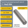 Трапецеидальный винт 14x3 TR правый (диаметр 14 мм, шаг 3 мм) С45 TECHNIX PRO