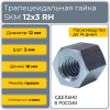 Гайка шестигранная трапецеидальная сталь SKM 12-3-D (диаметр 12 мм, шаг 3 мм) правая резьба TECHNIX PRO