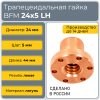Гайка трапецеидальная с фланцем латунь BFM 24-5-G (диаметр 24 мм, шаг 5 мм) левая резьба TECHNIX PRO