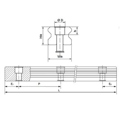 Направляющая RGR45RP L=204 см (роликовая) TECHNIX (чертёж)